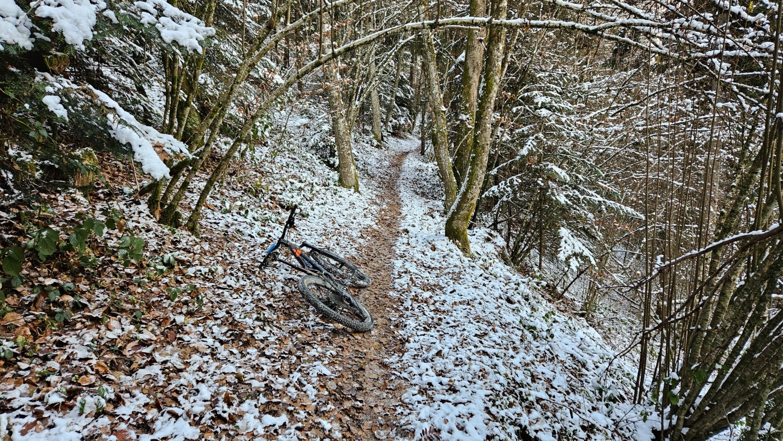 J’ai bien fait de venir ici.