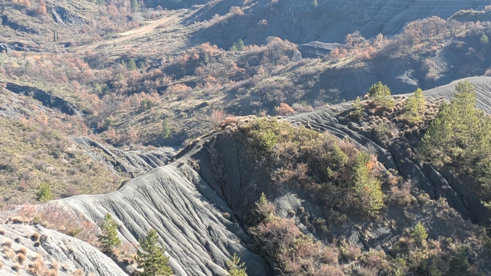 crête  des chamois 