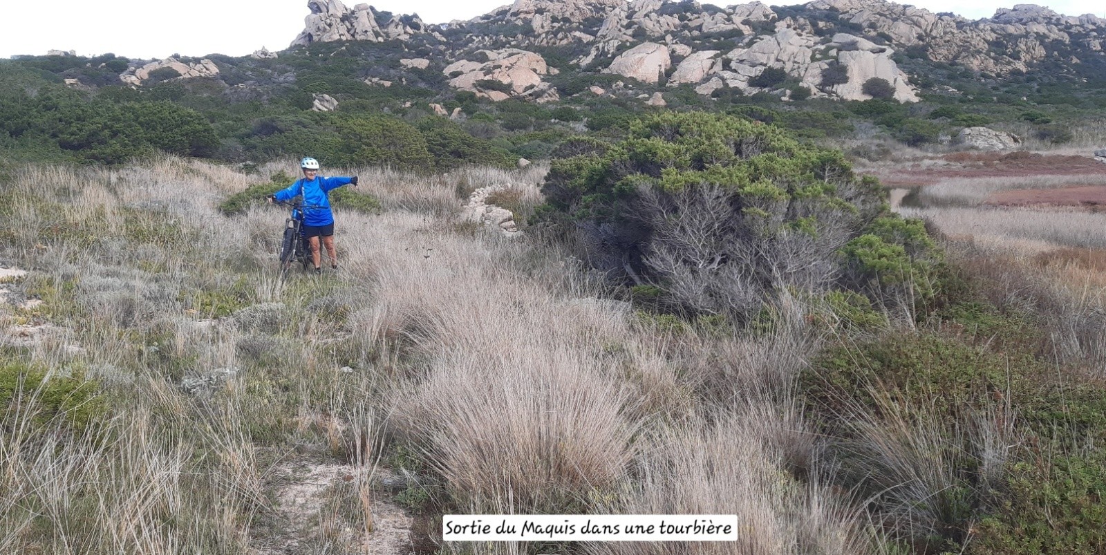 #8 Juste après avoir pris un sentier bien Piquant peu apprécié par Xine. Juste après avoir pris un sentier bien Piquant peu apprécié par Xine.