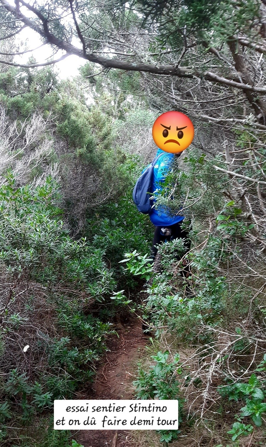 #3 Un but de plus à Sintino Un but de plus à Sintino