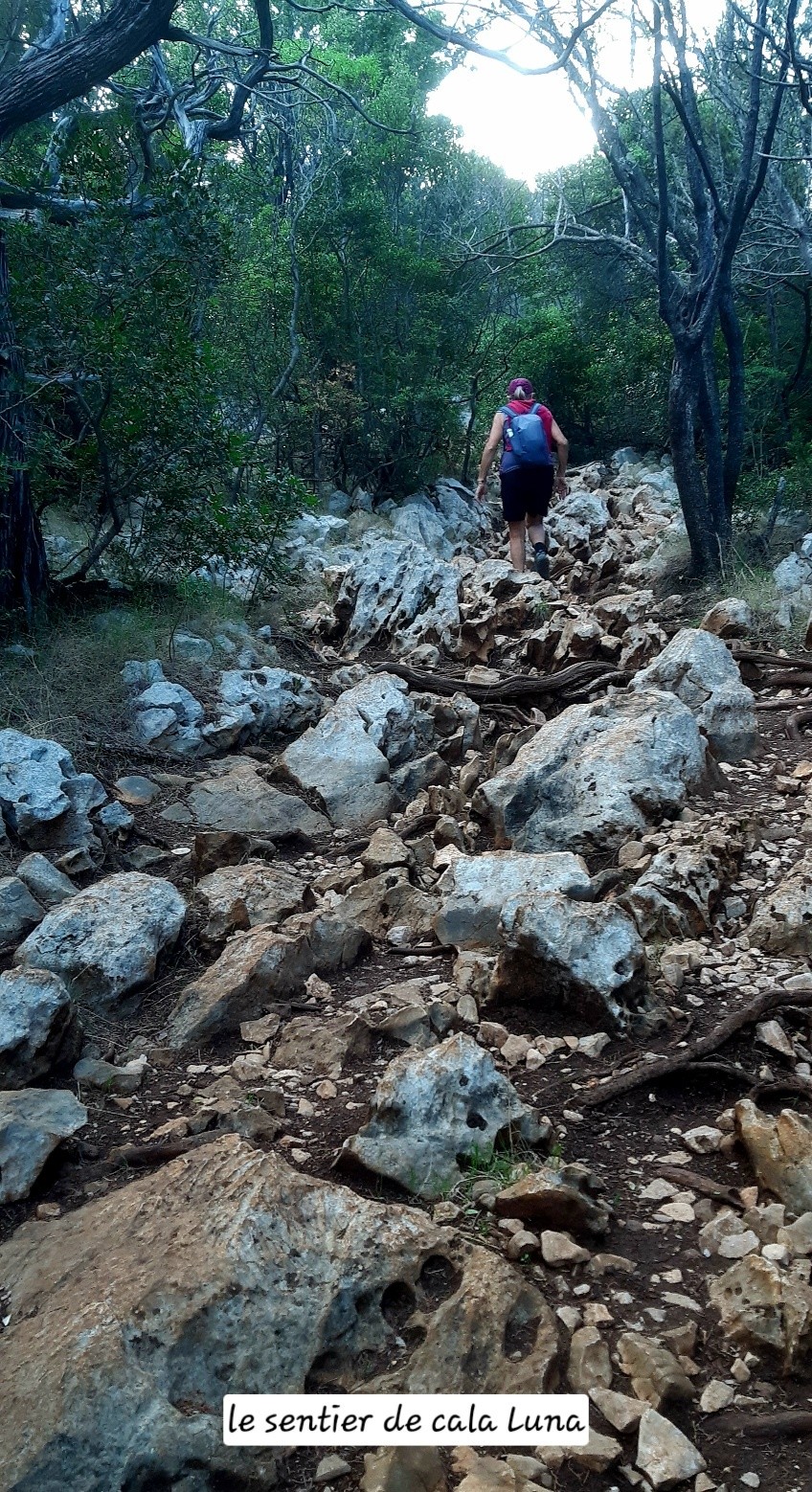 #2 Je pensais essayer d Je pensais essayer d'aller à Cala Luna depuis Cala Gonone mais même à pied c'est chiant.