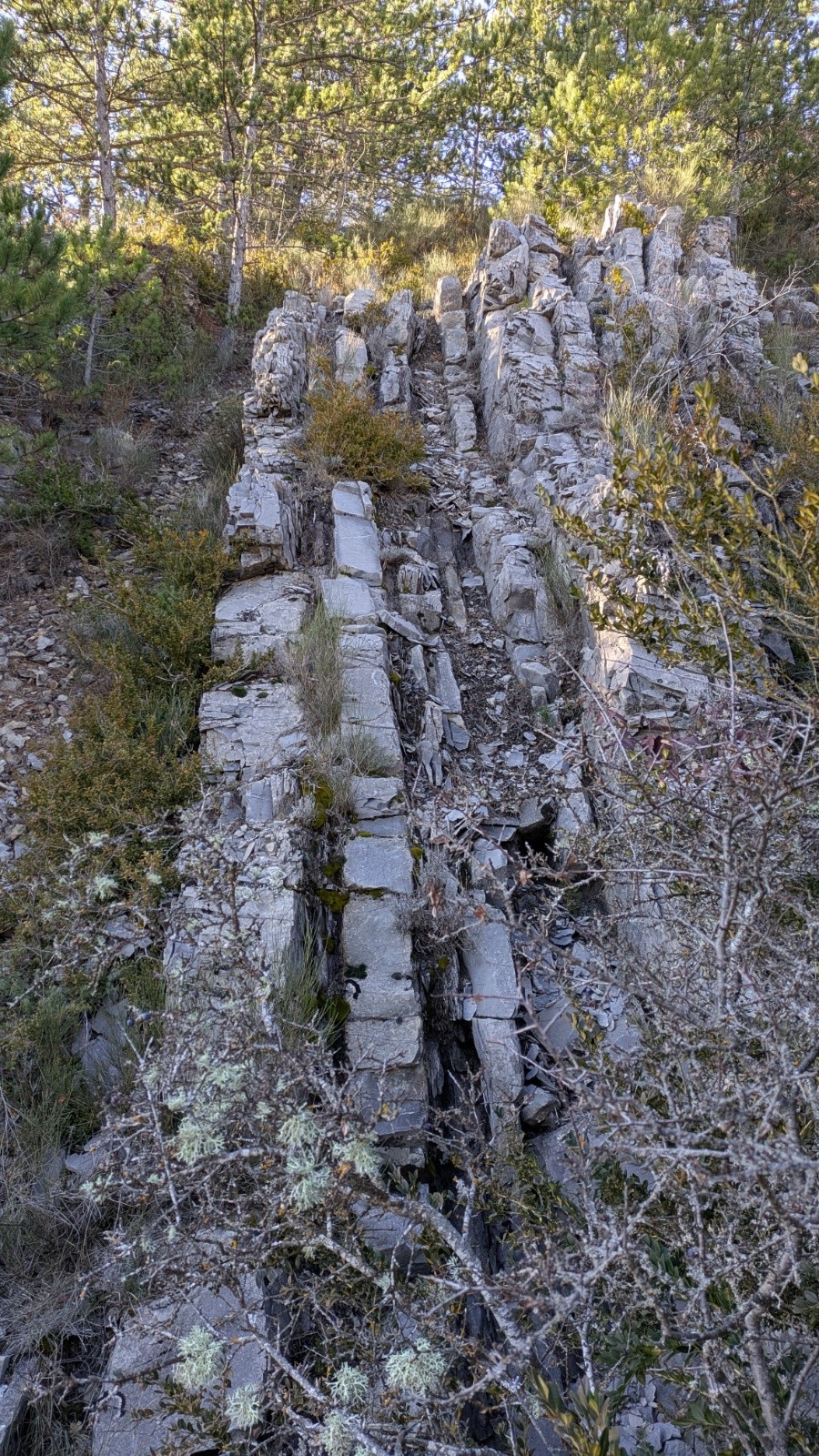 #3 alignements alignements