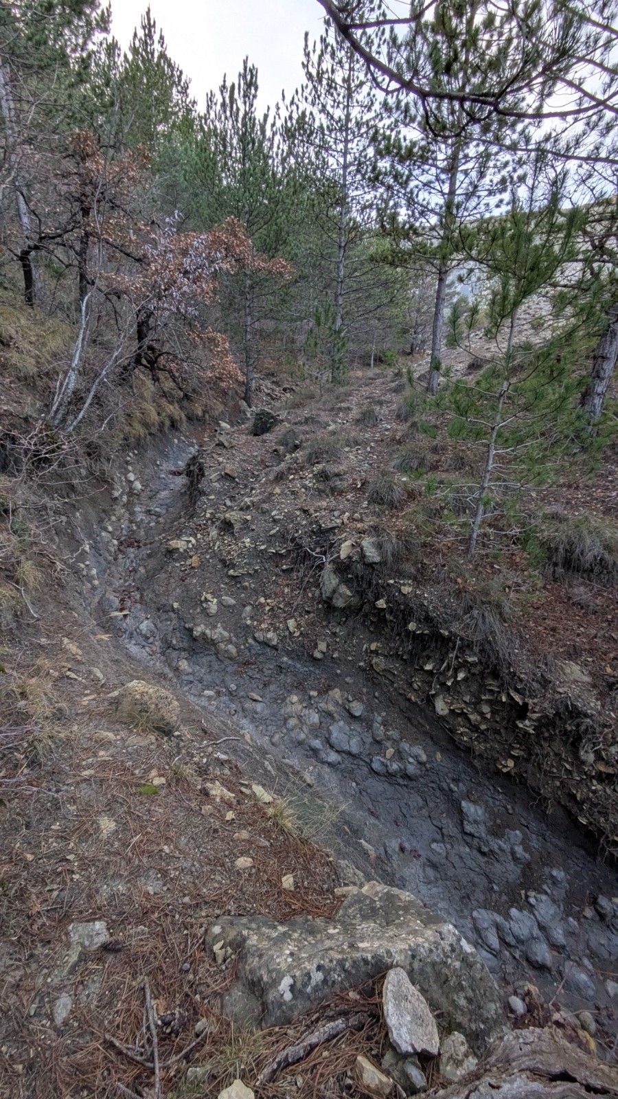 #8 ravin mal commode ravin mal commode