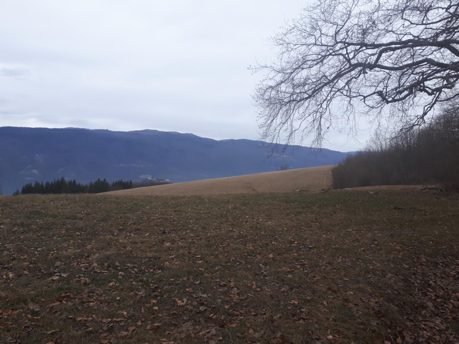 Manque de blanc sur le grand