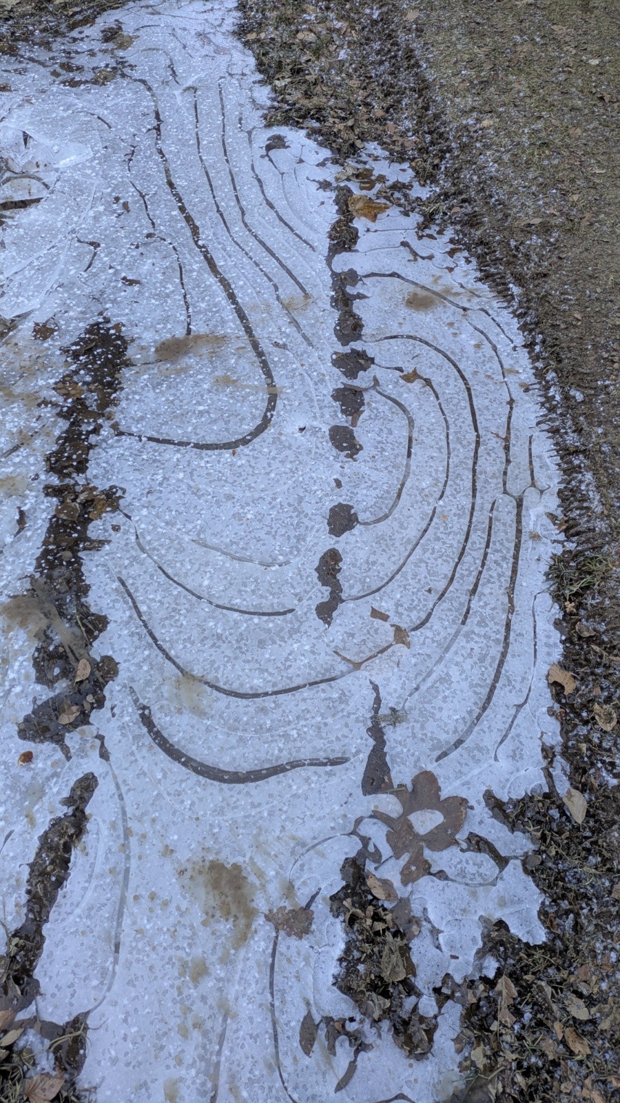 #7 Lignes de relief glacées ? Lignes de relief glacées ?