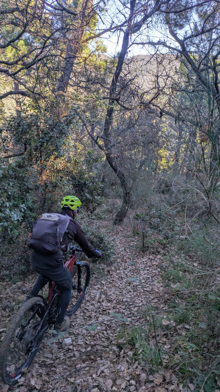 descente N inarte&nbsp;