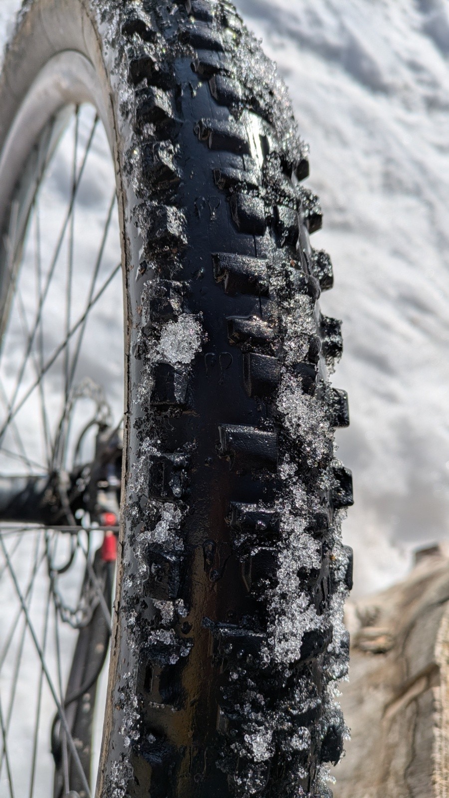 un petit porcupine à l'arrière en 2.40