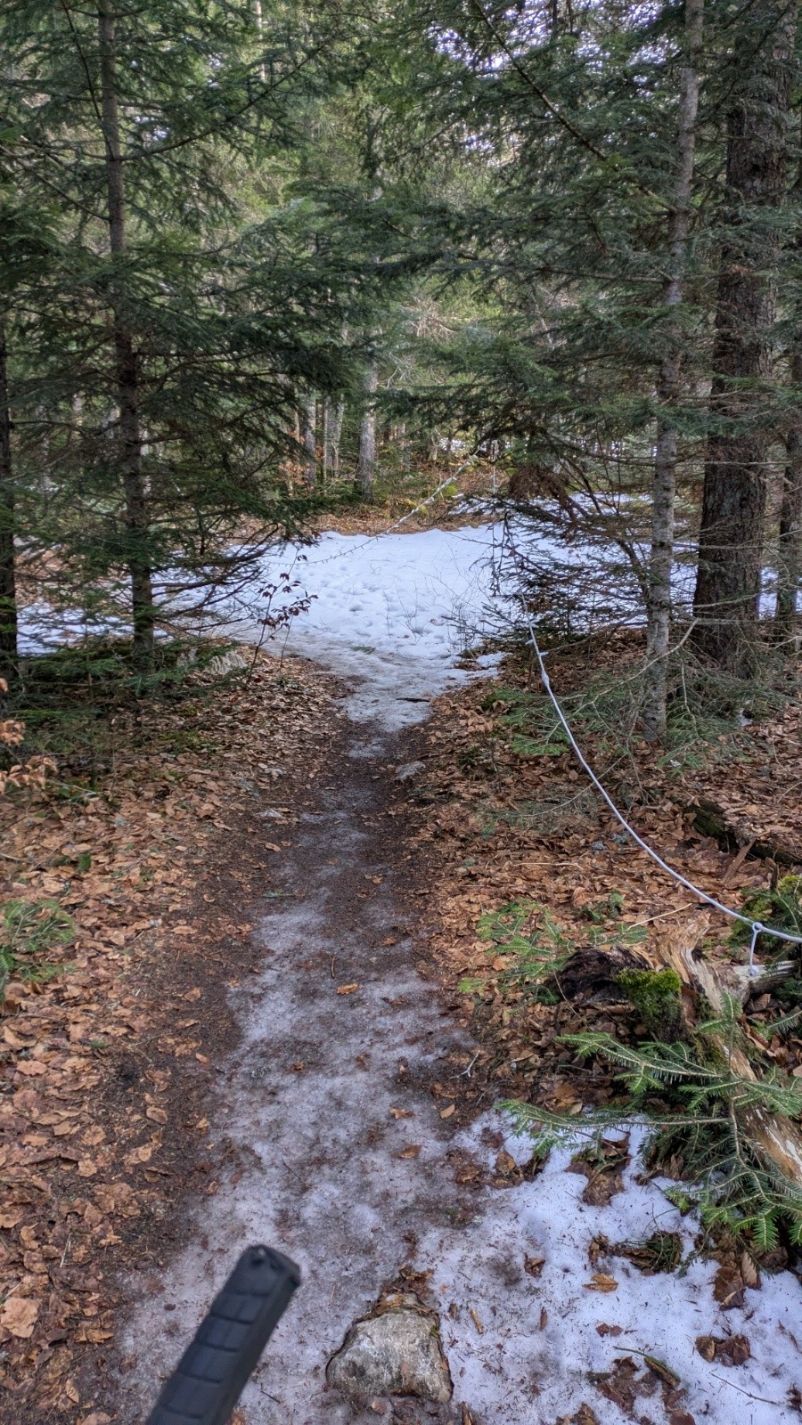 &nbsp;juste un peu tôt pour l'allumage