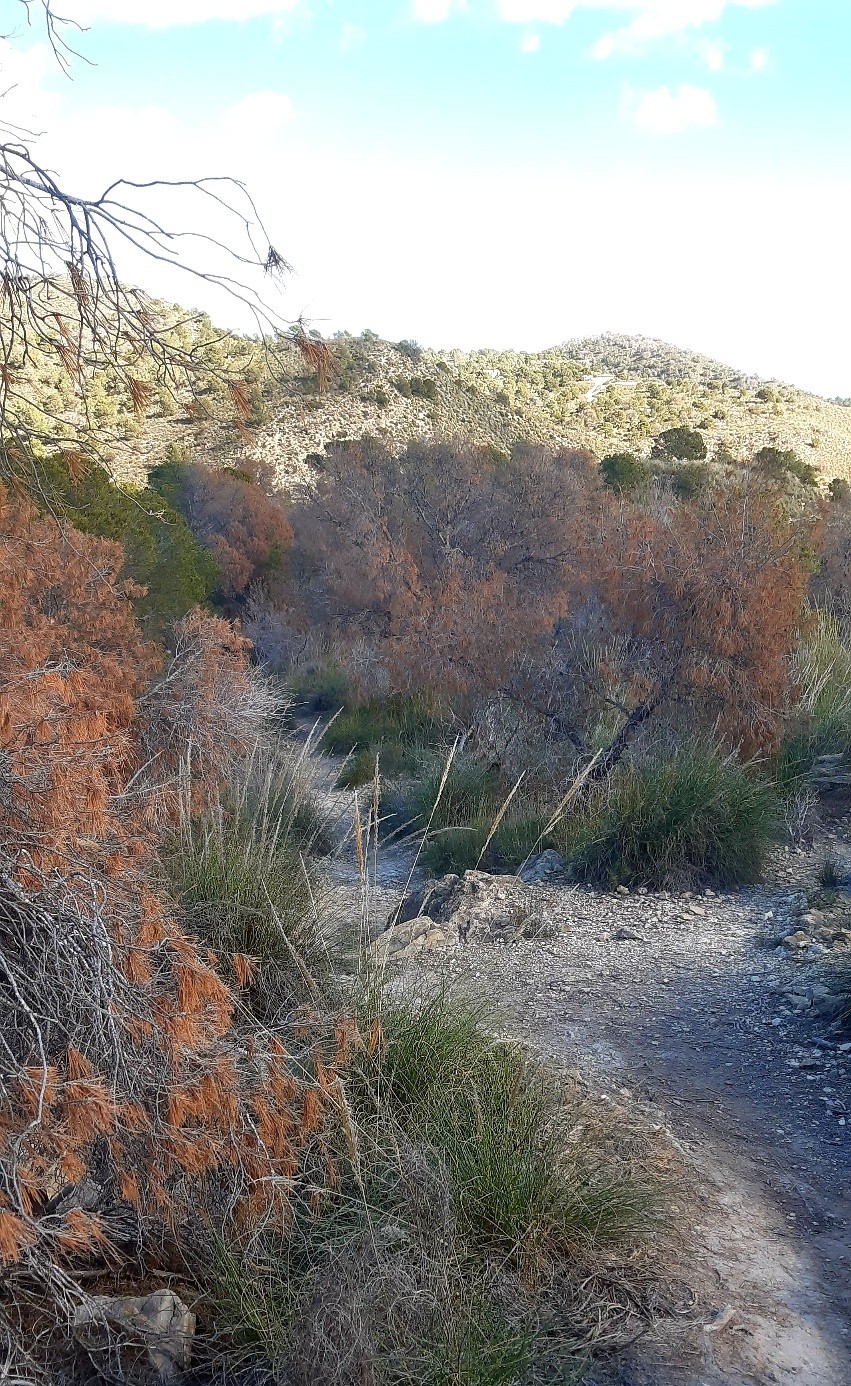 #5 Beaux sentiers Beaux sentiers