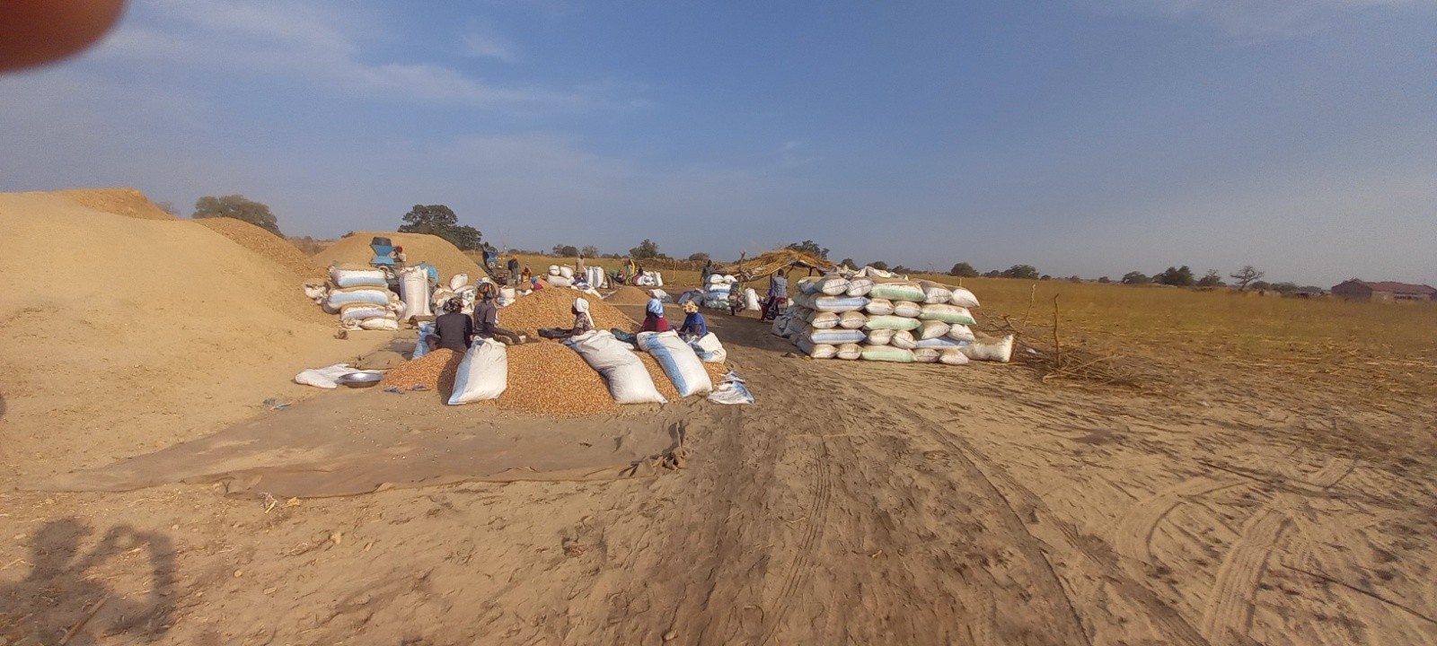 #34 Cacahuètes !!! Cacahuètes !!!