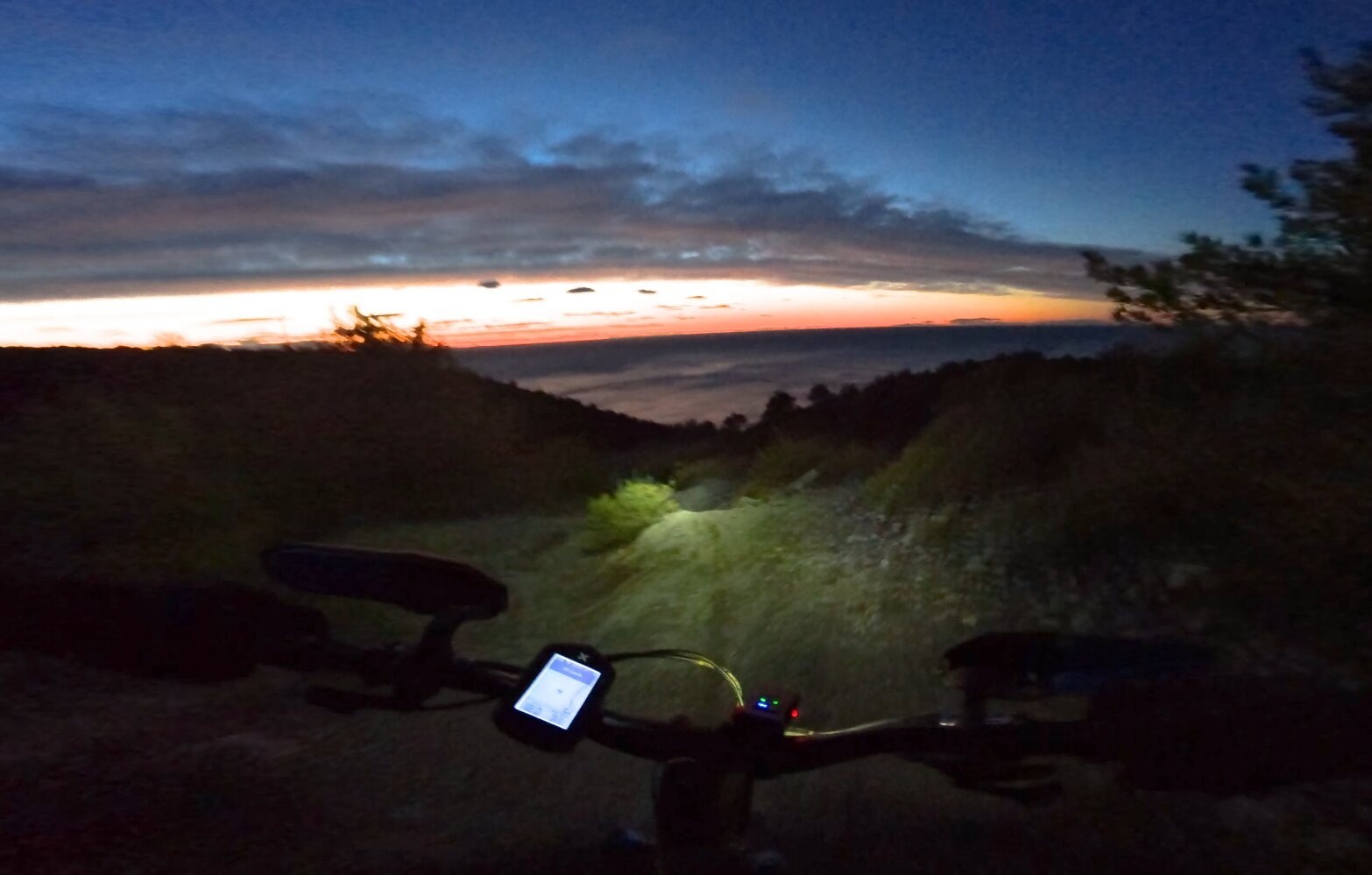 #2 DH Donne DH Donne