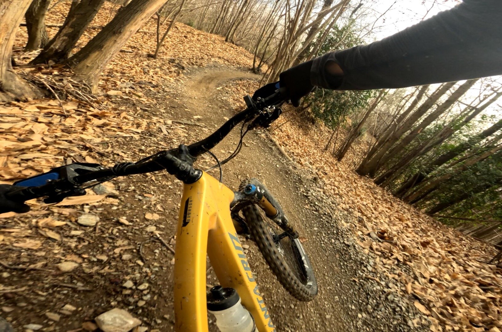 #2 Ingegnere et ses courbes de folies Ingegnere et ses courbes de folies