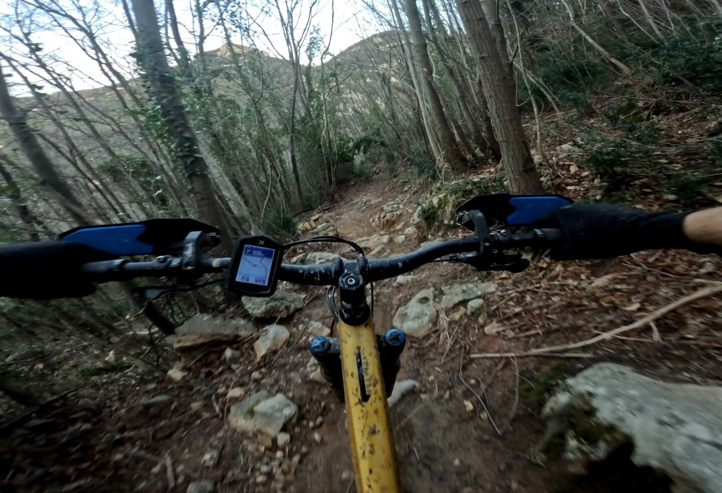 #6 Cromagnon Cromagnon