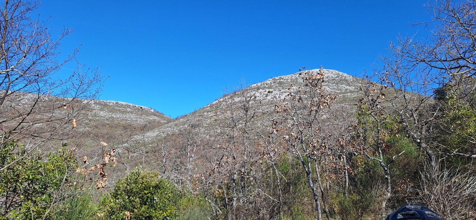 #9 Le mouton d Le mouton d'Anou