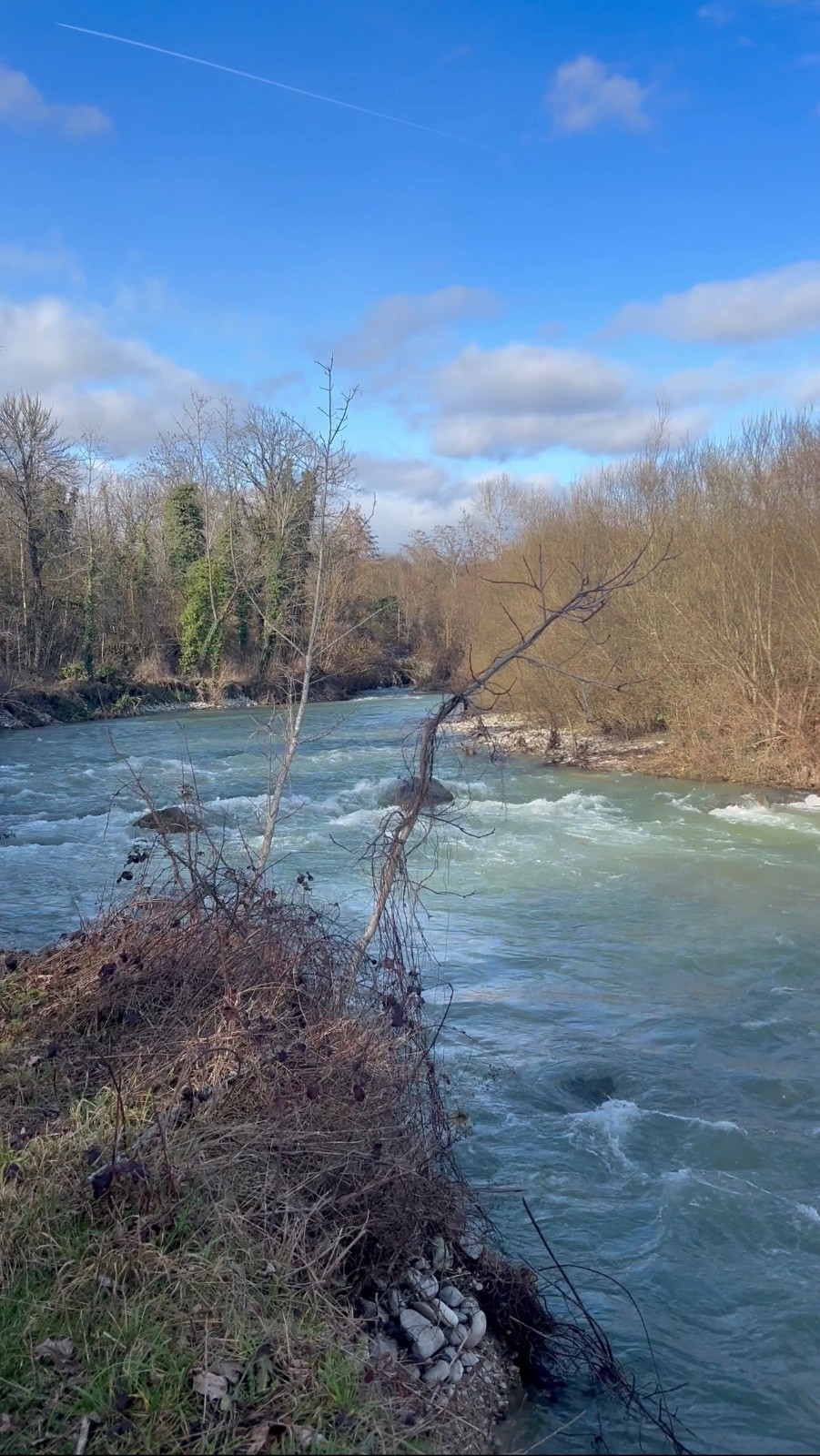 #3 L’Allondon L’Allondon