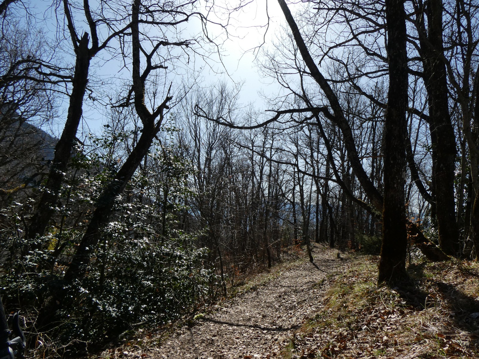 #2 Sur la crête Sur la crête