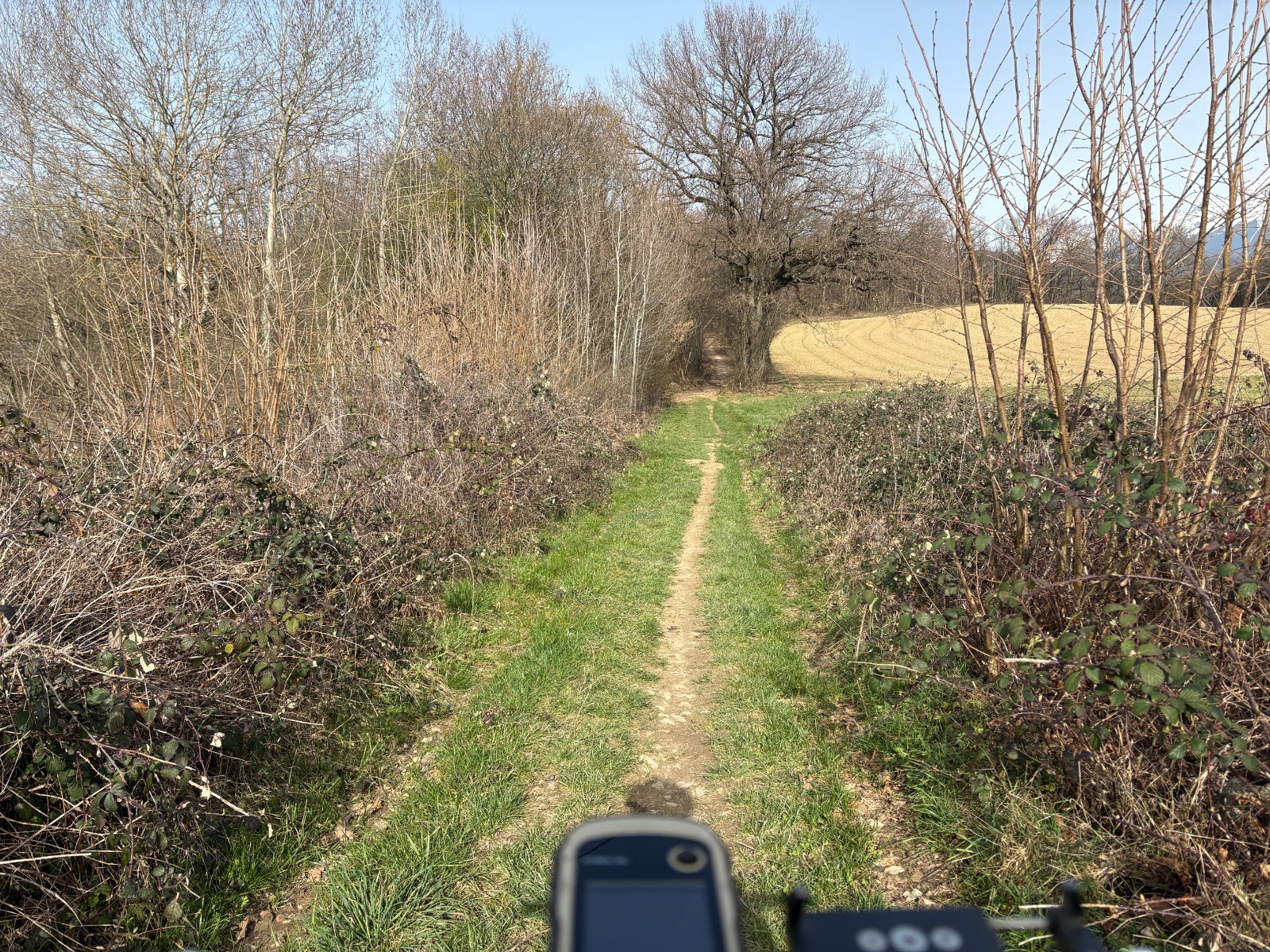 #2 Chemin bien secs... Chemin bien secs...