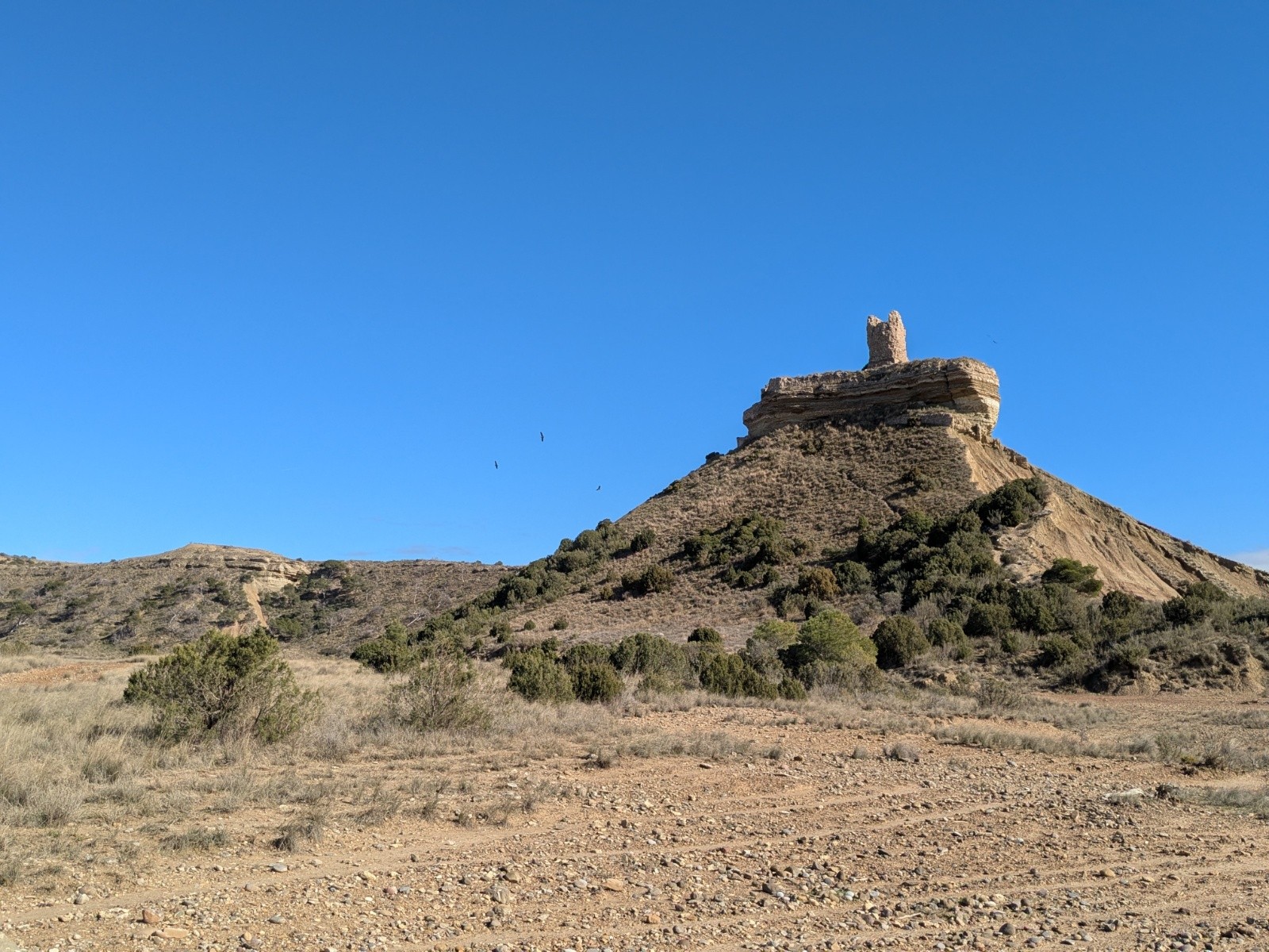 j1 magnifique tour&nbsp;