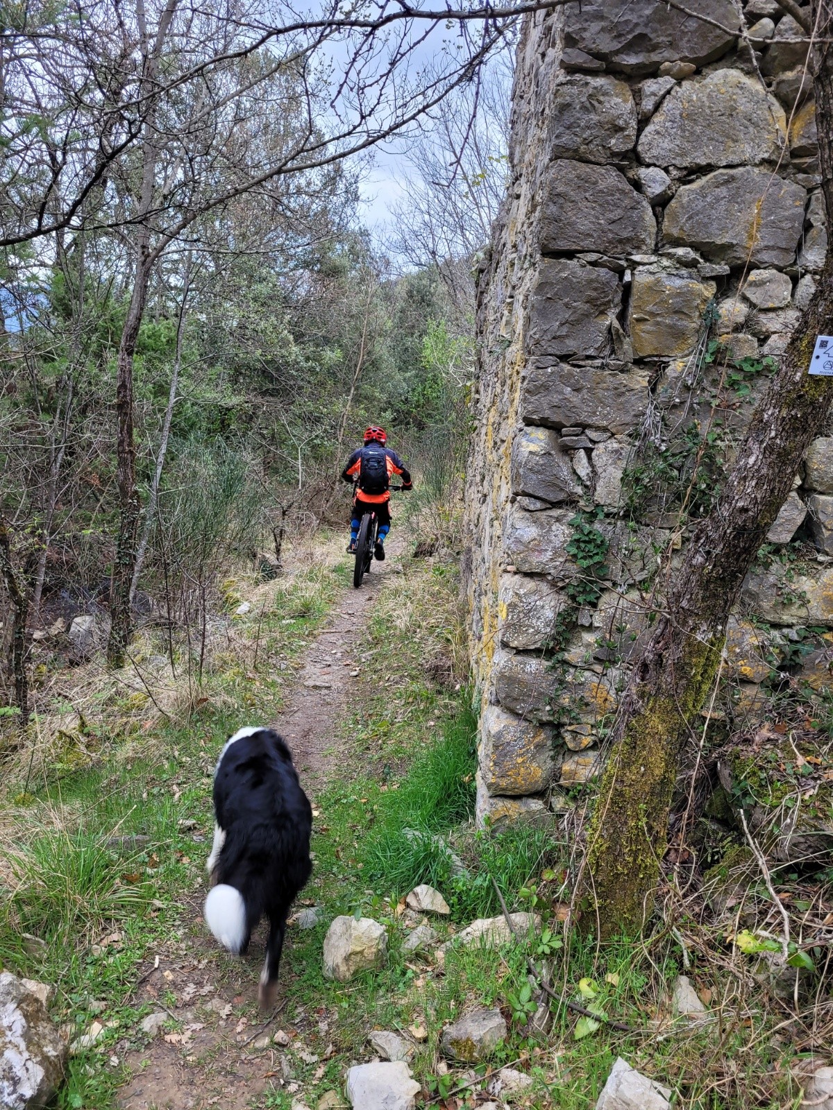 #14 Remontée vers le bois de l Remontée vers le bois de l'Agaisen.