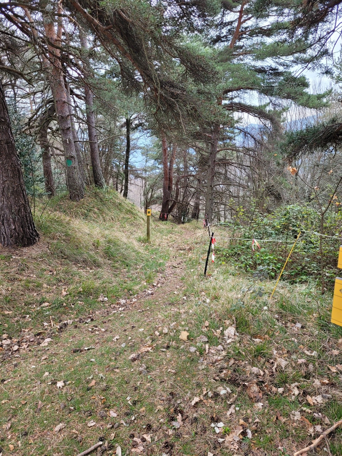 #3 Baisse de Levens Baisse de Levens