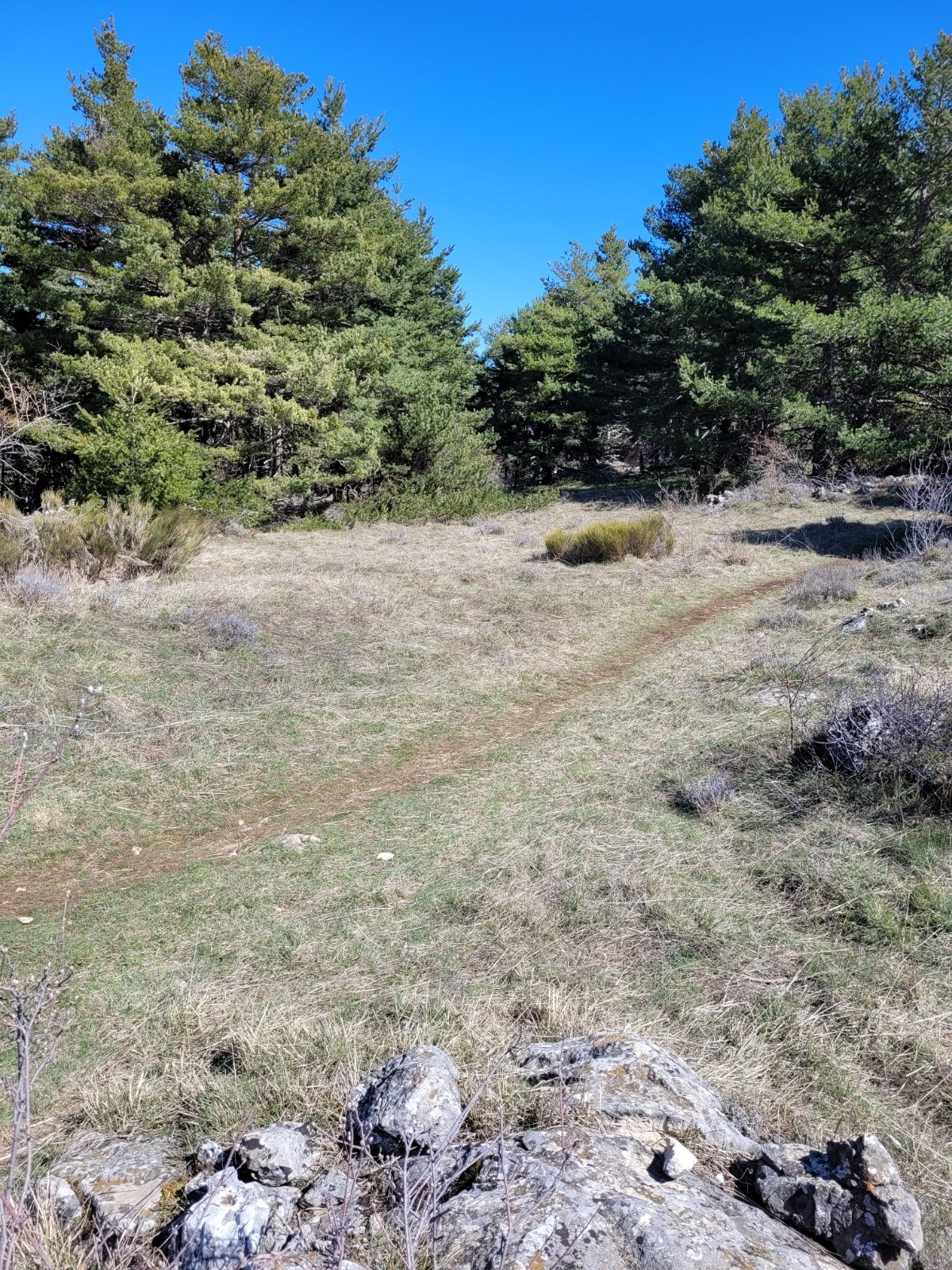 Aire de pique nique&nbsp;