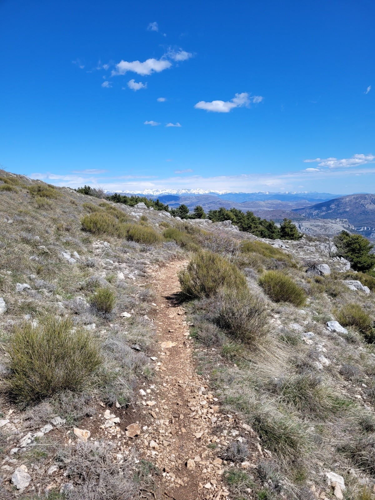 GR4 vers Cipières&nbsp;