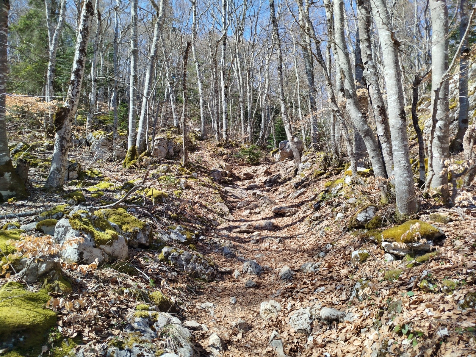#6 Sentier des Ramets Sentier des Ramets