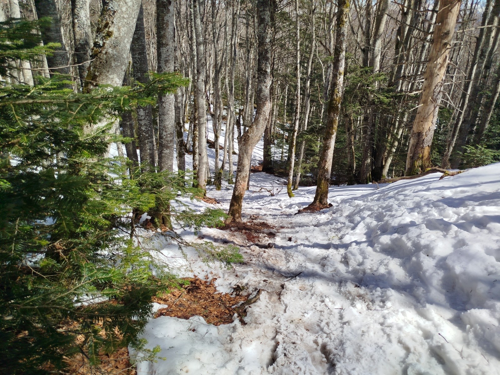 #5 Départ du sentier des Ramets Départ du sentier des Ramets