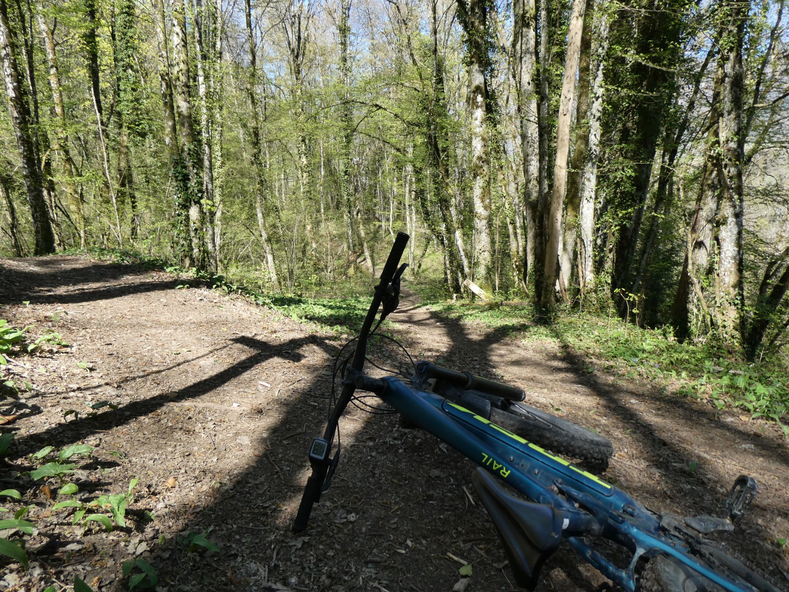Chemin du bois de Sordet