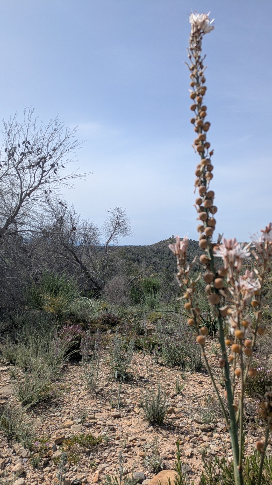 Vigie au fond&nbsp;&nbsp;