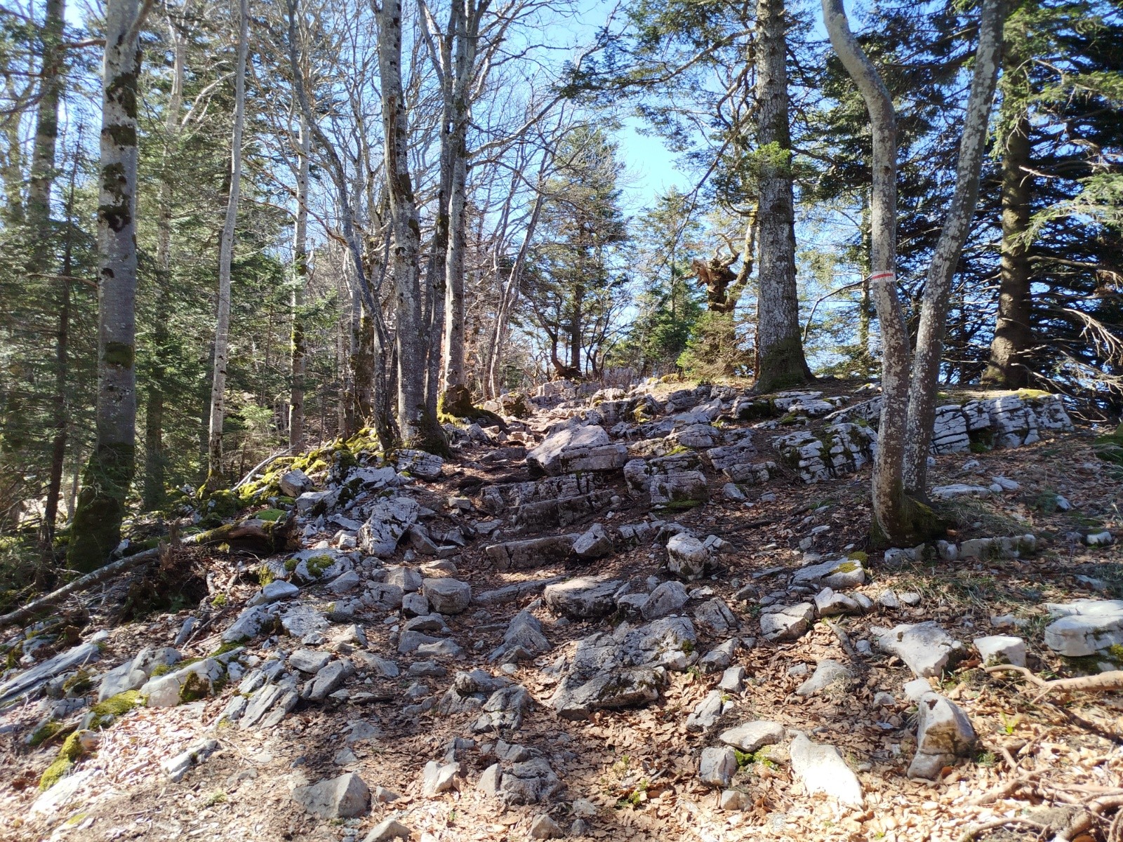 &nbsp;Sur la crête après le Relais du Chat. Concentration nécessaire, c'est loin d'être de tout repos.