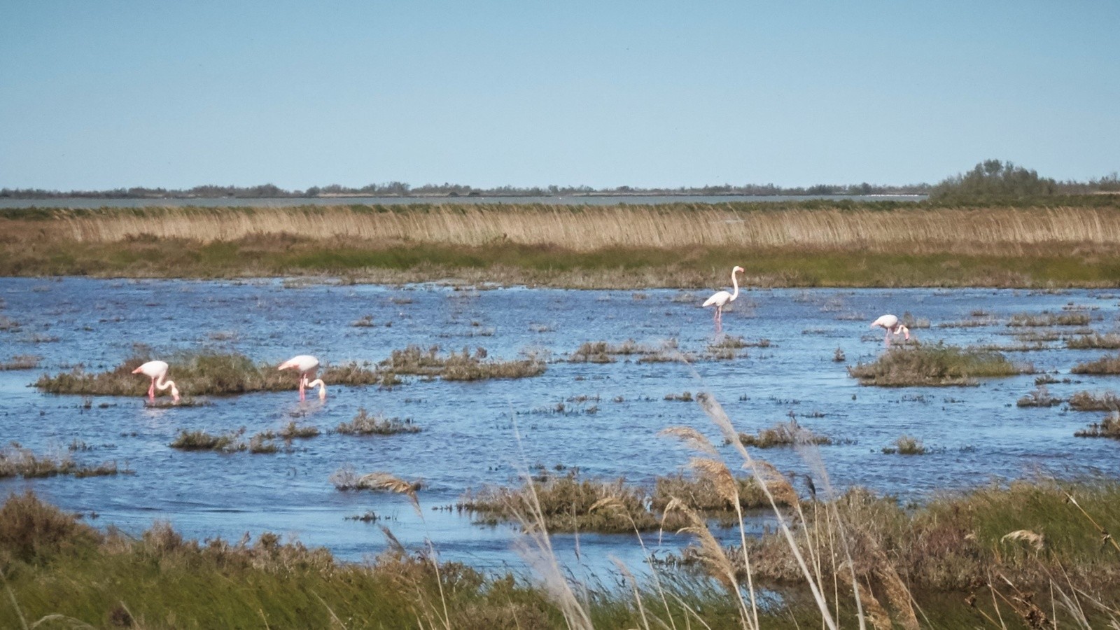 &nbsp;J'aurais pu également appeler ce trip la \
