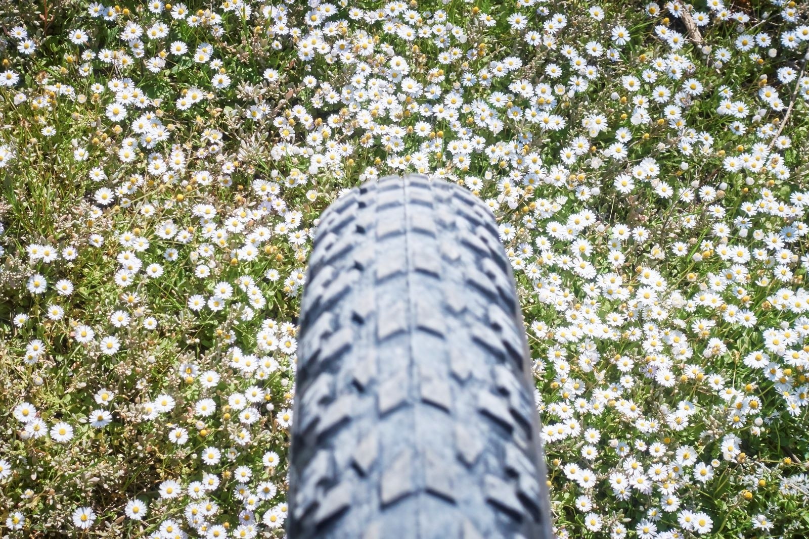 Vive le printemps !