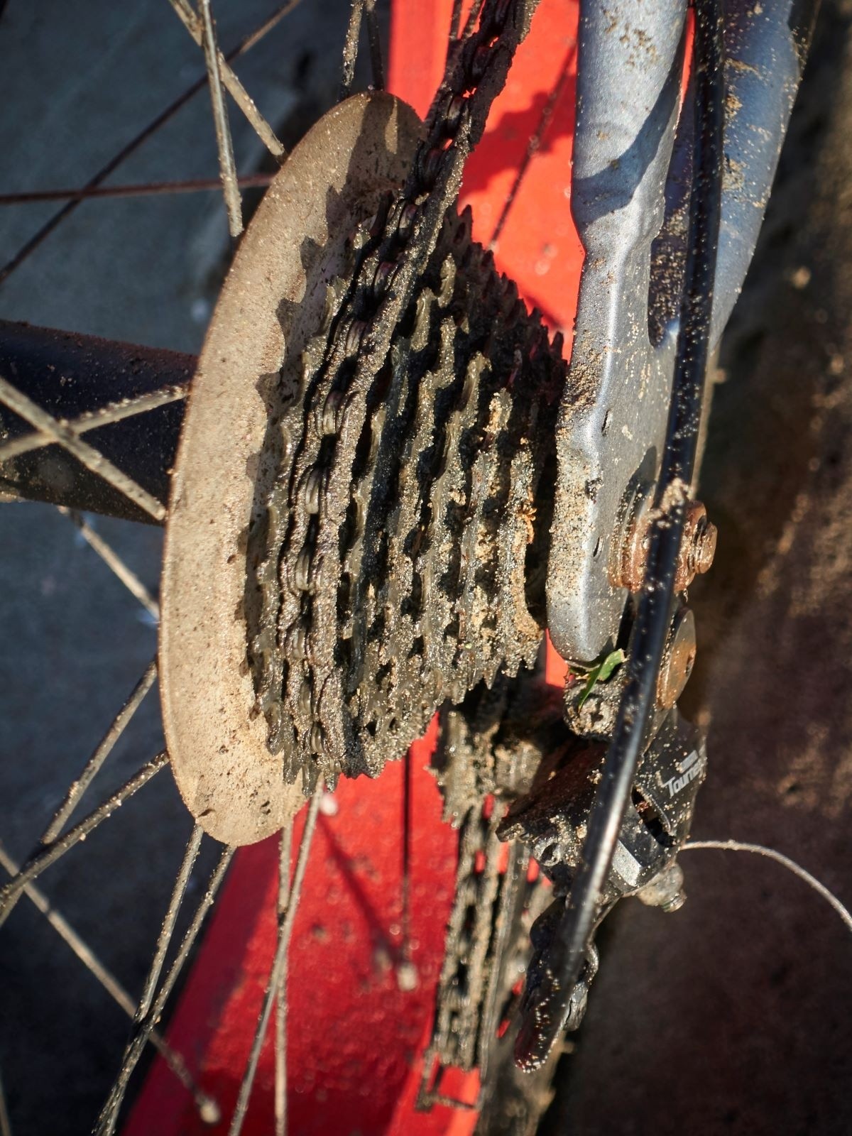 &nbsp;Je m'arrêterai à Aigues-Mortes pour laver tout cela à l'eau douce