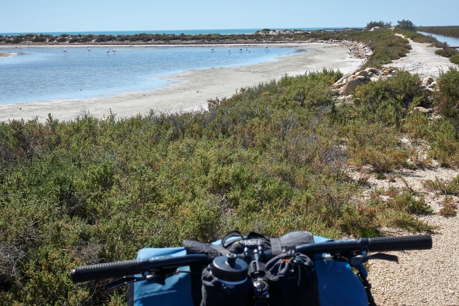 &nbsp;Mes compagnons de route. Pas une heure sans en voir.