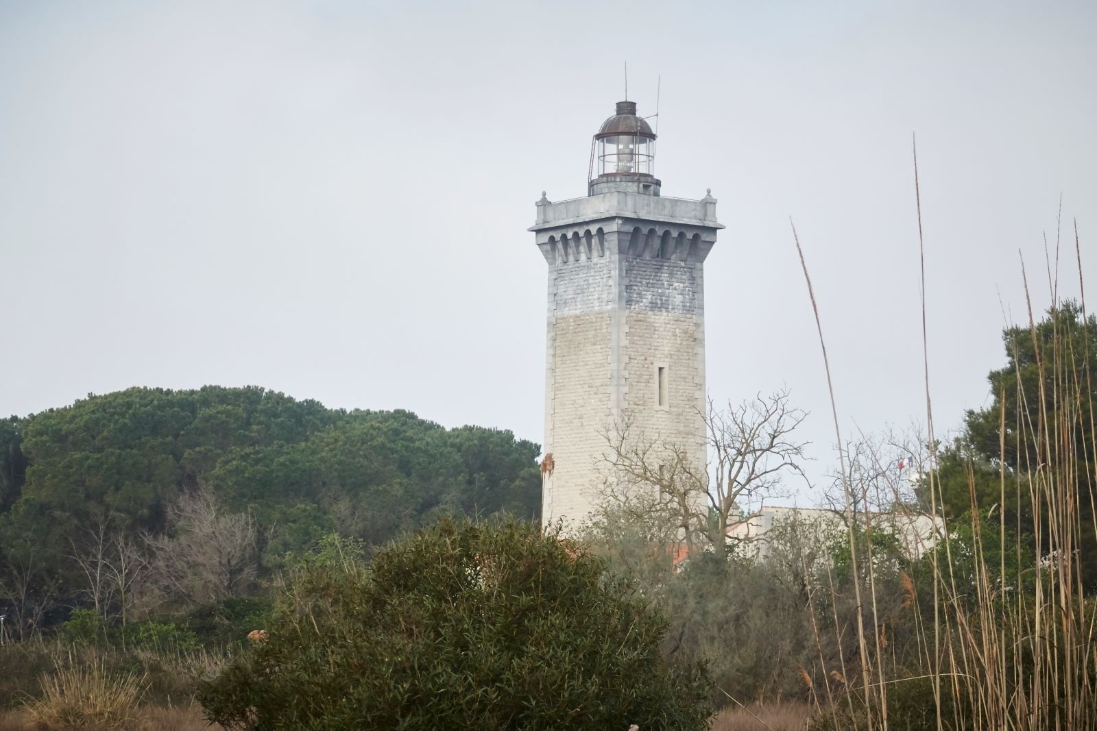 &nbsp;Phare de l'Espiguette