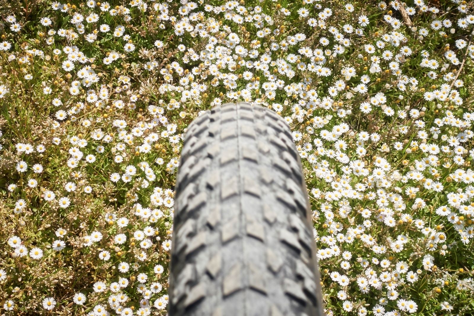 &nbsp;Vive le printemps !