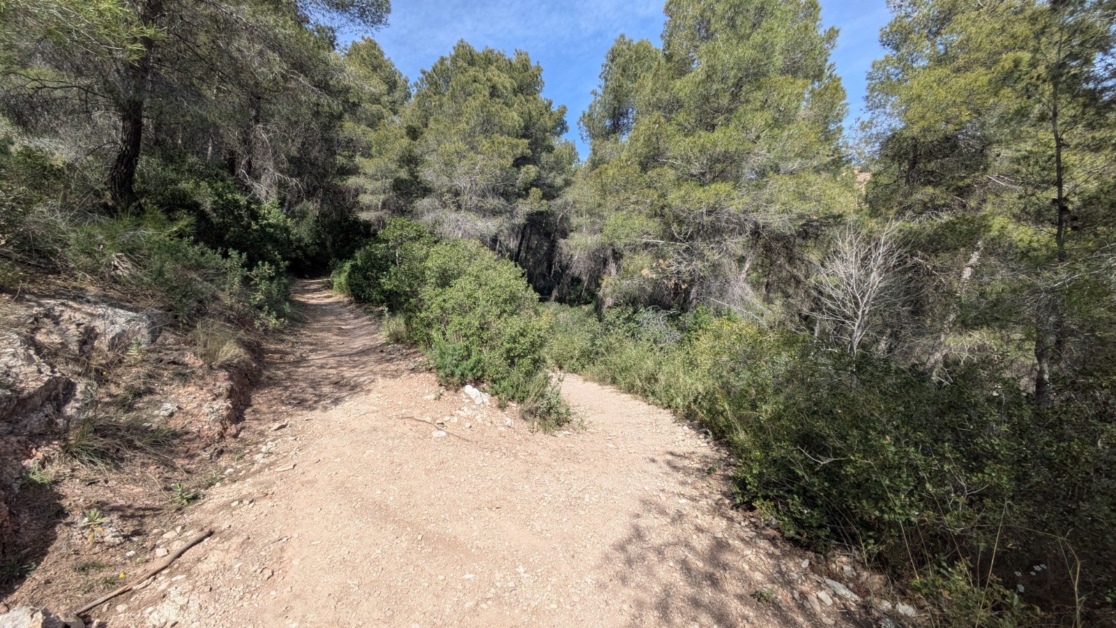 gauche ou droite?&nbsp;