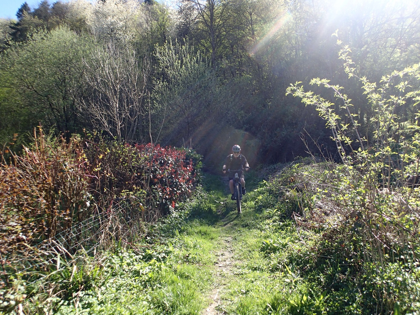 La sortie du sentier au Maupas...