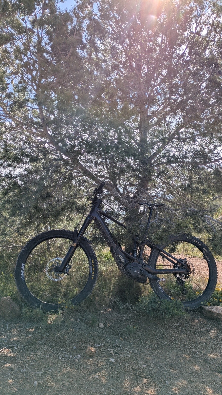 Au pied du sapin, un Wild M10 à vendre&nbsp;