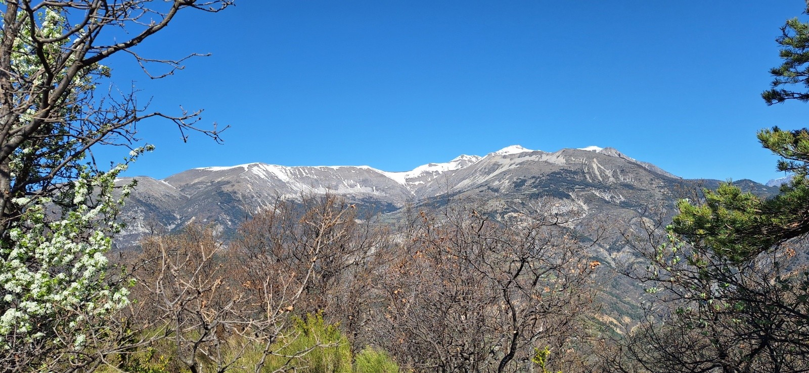 Le St Honorat au fond&nbsp;