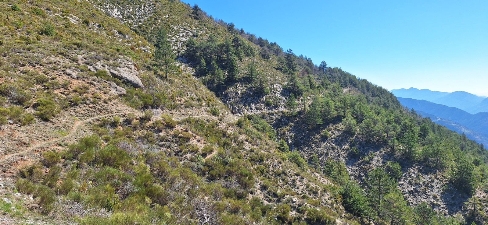 Un beau travers&nbsp;