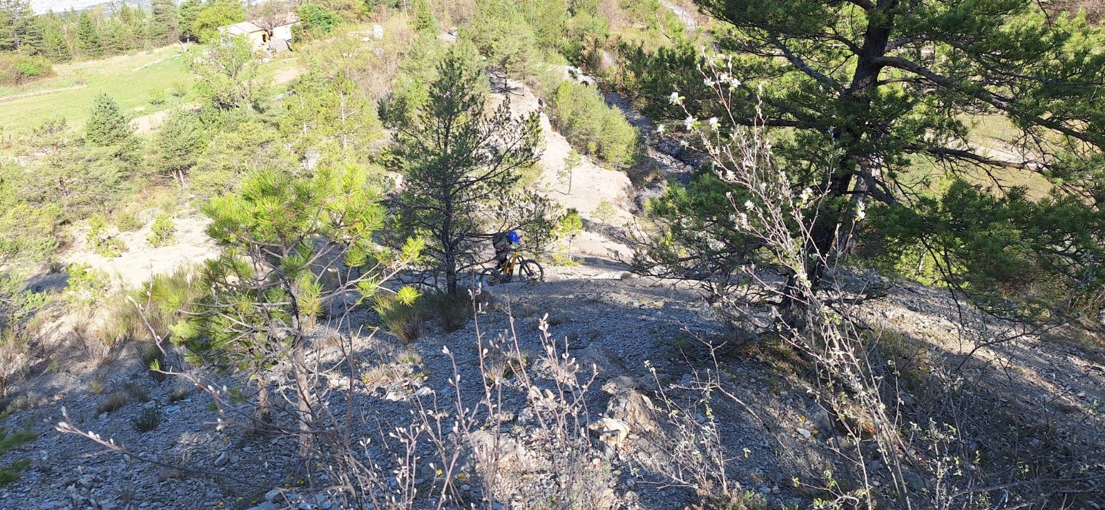 poussettes au départ&nbsp;