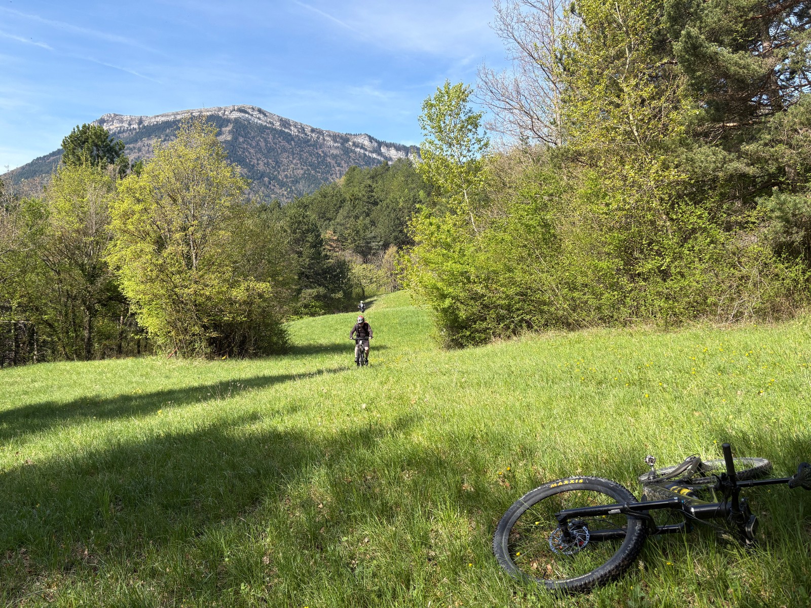 Un peu de calme dans ce monde de brutes...