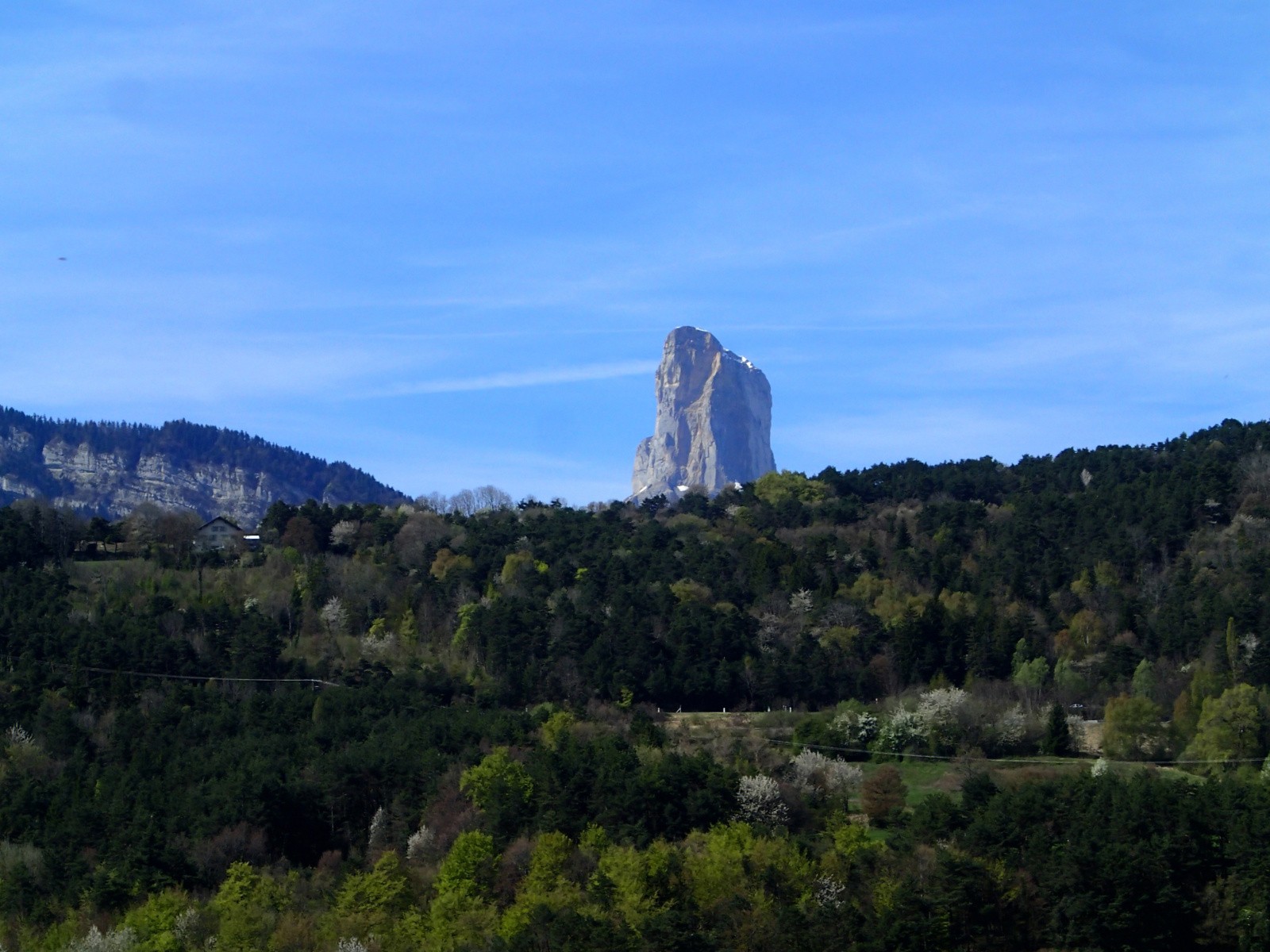 Le maitre des lieux !