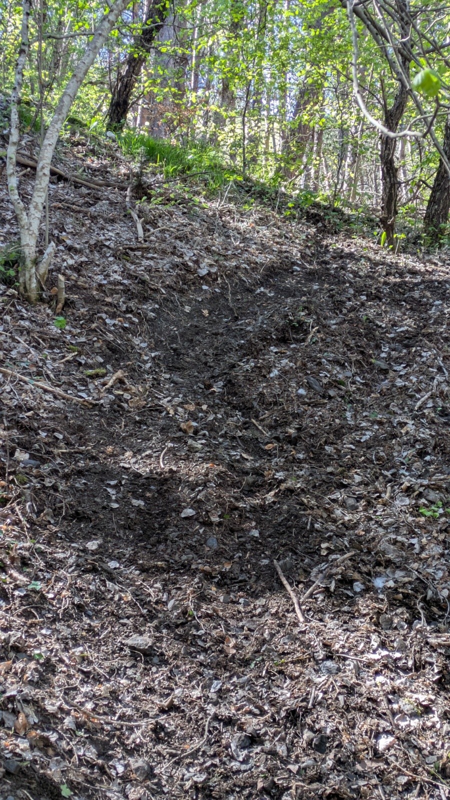 gorets motorisés&nbsp;