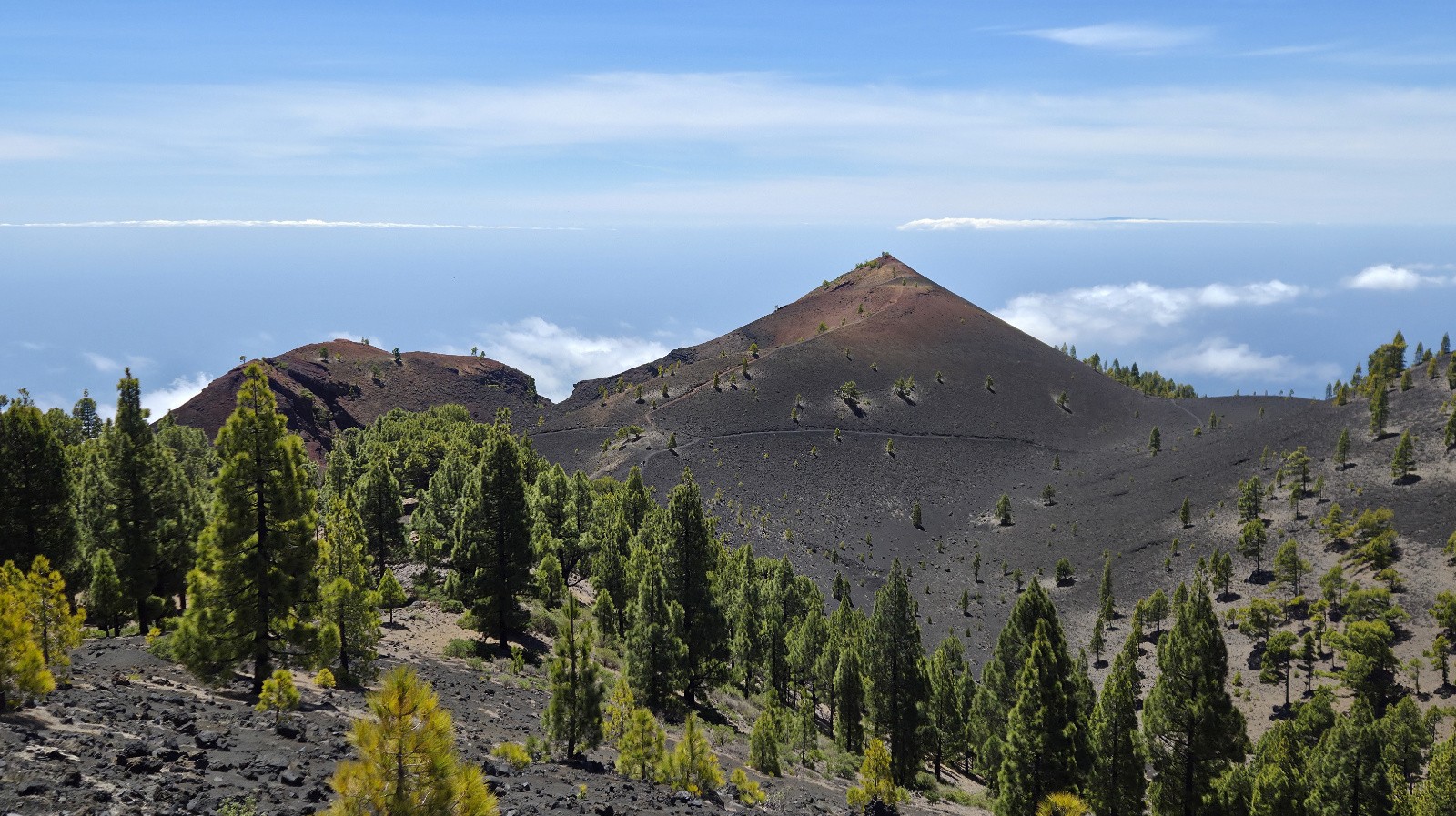Volcan de Martin&nbsp;&nbsp;