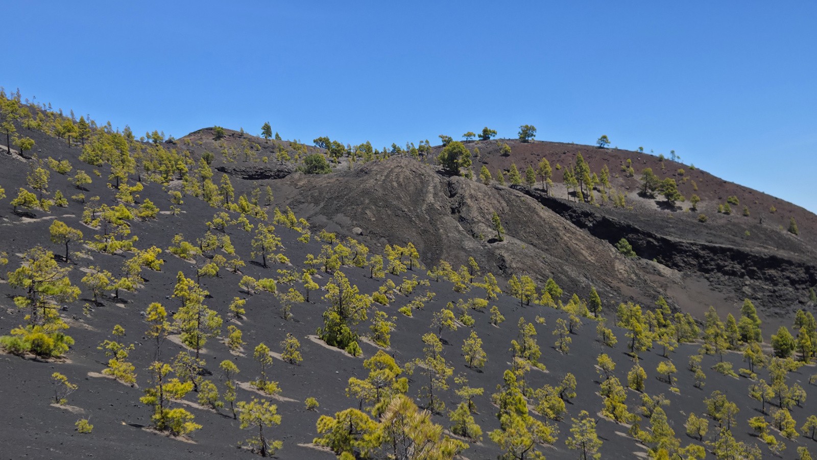 Ruta de los Volcanes&nbsp;&nbsp;