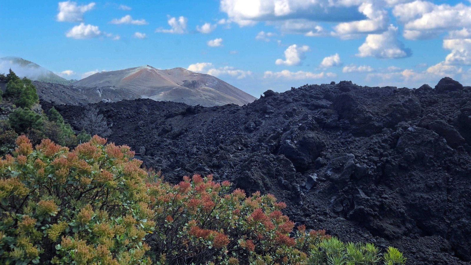 Cumbre Vieja et sa coulée