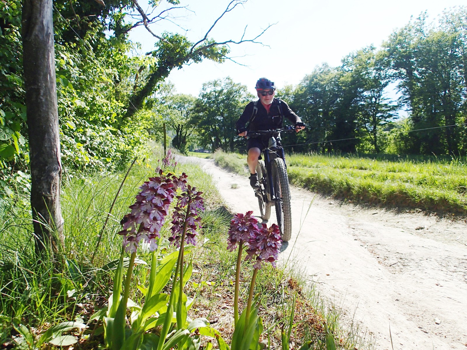 Un peu de poésie dans ce monde de brutes...